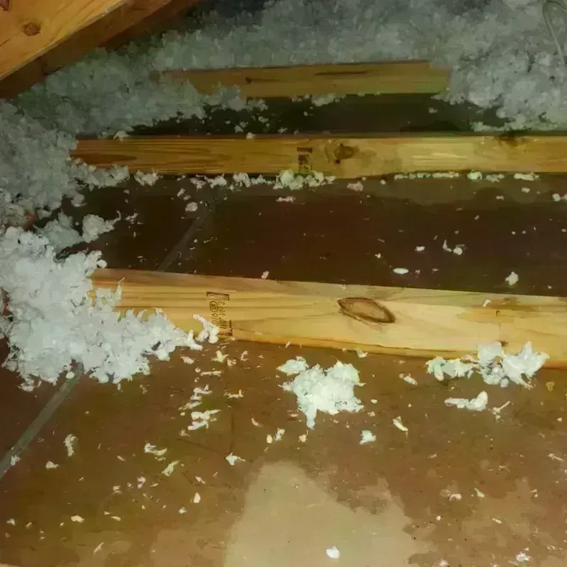 Attic Water Damage in Columbia Heights, MN