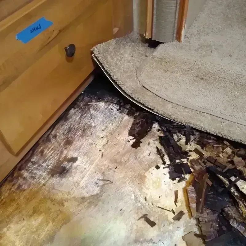 Best Wood Floor Water Damage Service in Columbia Heights, MN